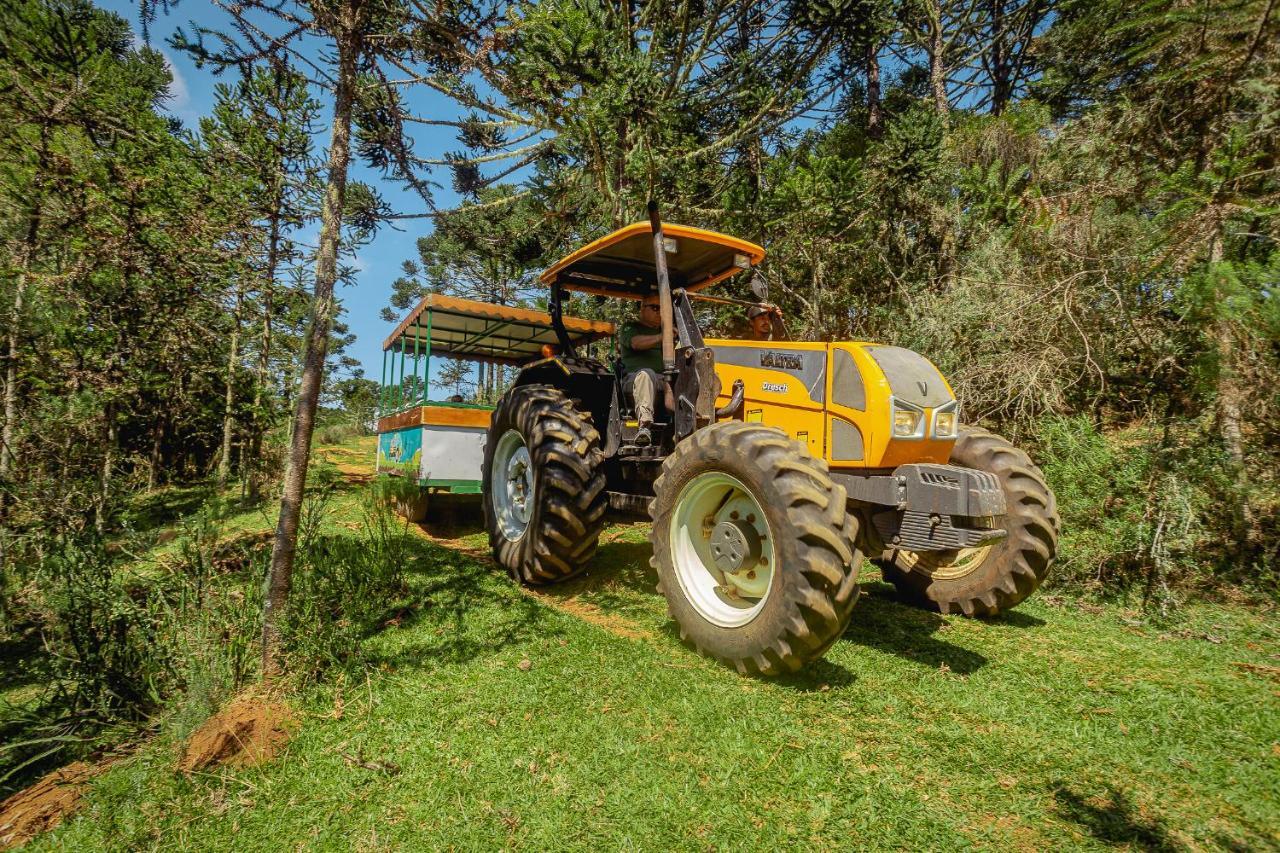 Hotel Fazenda Rota Dos Canions Bom Jardim da Serra Dış mekan fotoğraf